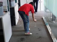 武漢地毯清洗專業(yè)服務商:口碑好的地毯清洗圖片|武漢地毯清洗專業(yè)服務商:口碑好的地毯清洗產(chǎn)品圖片由武漢世紀華美保潔服務公司生產(chǎn)提供-